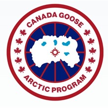 Canada Goose